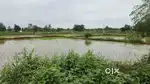 30 guntas land for sale kamareddy dist road bit highway to land 3km