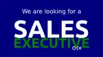 Urgent required sales executives