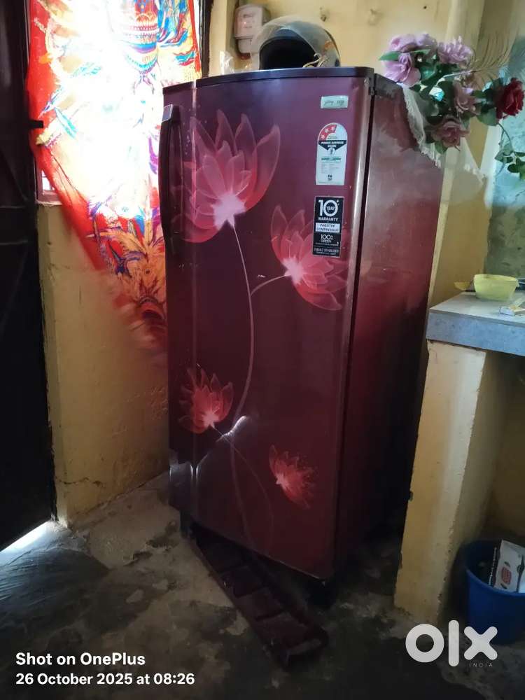 Frize in the good condition