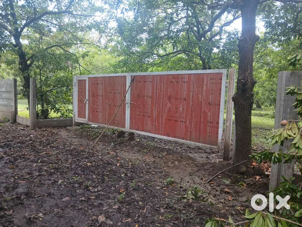 11 gutha Agricultural plot for sale