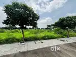 रायपुर के सबसे विकसित जगह,, विधानसभा रायपुर में निवेश का सुनहरा अवसर,,