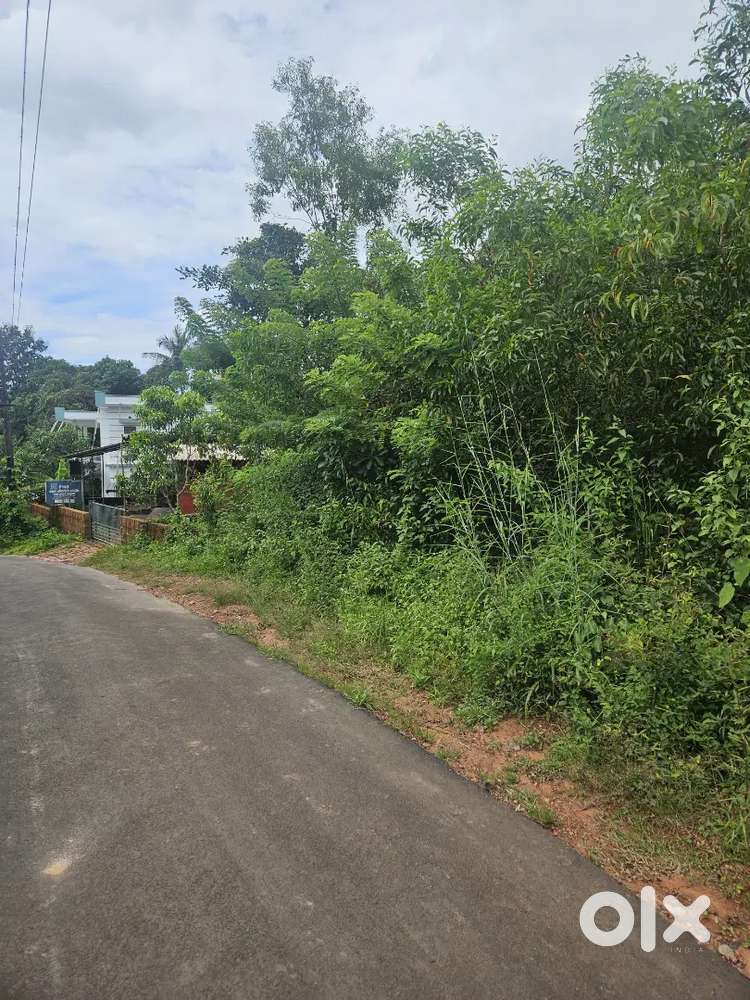 For sale 14 cent Plot at Pilathara
