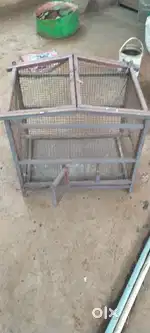 Cages for birds