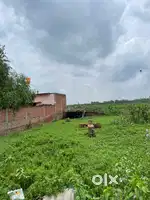 Main road rehpura jagir fatehganj (w) bareilly