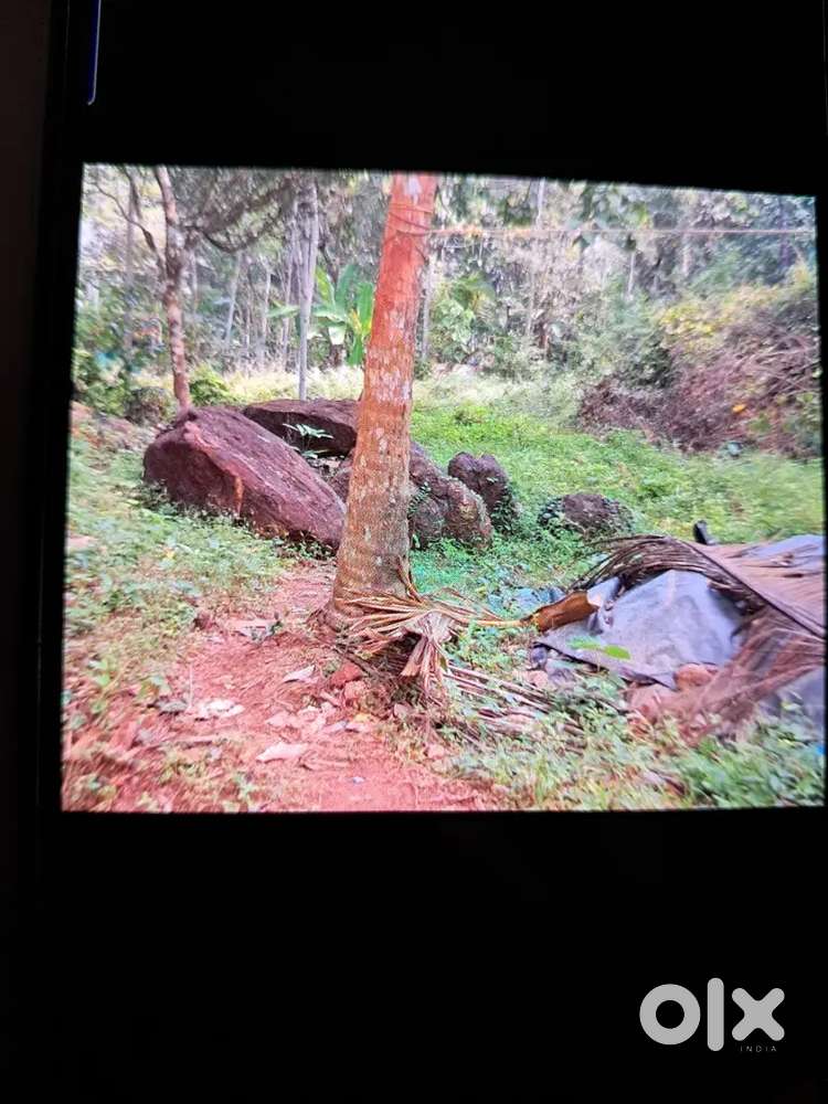 20cents of recidential plot  at palath chelannurt