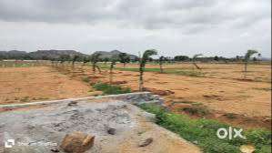 Direct Owner 60 Ft road Plot sale in Ramoji-NERRAPALLY