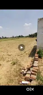 Shahpur road near Bareilly highway