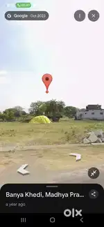 1.50 bigha