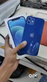 I phone 12 Bule Colour