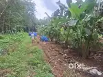 Mvpa piramadom 5 cent houseplot 50 mtr from busrout 1.5 lak only cent