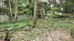 25  Cents land in Alappuzha.