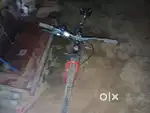 7 speed gear cycle