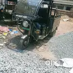 City Life nd full maintain