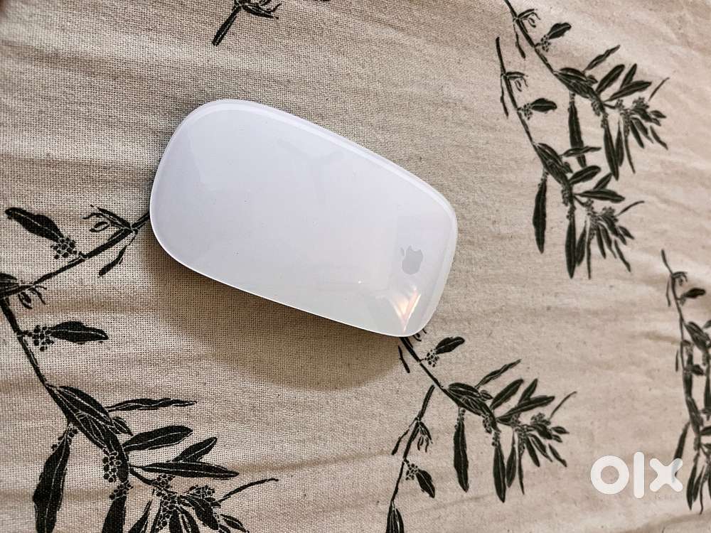Apple mouse 2 white