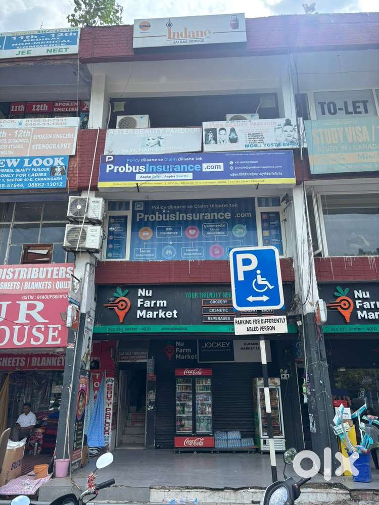 Ground Floor And Basment for Rent In Sector 40 D Chandigarh