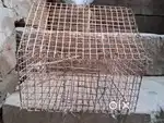 Cage for birds