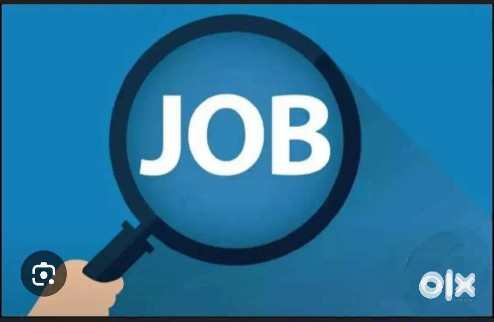 Office assistant field