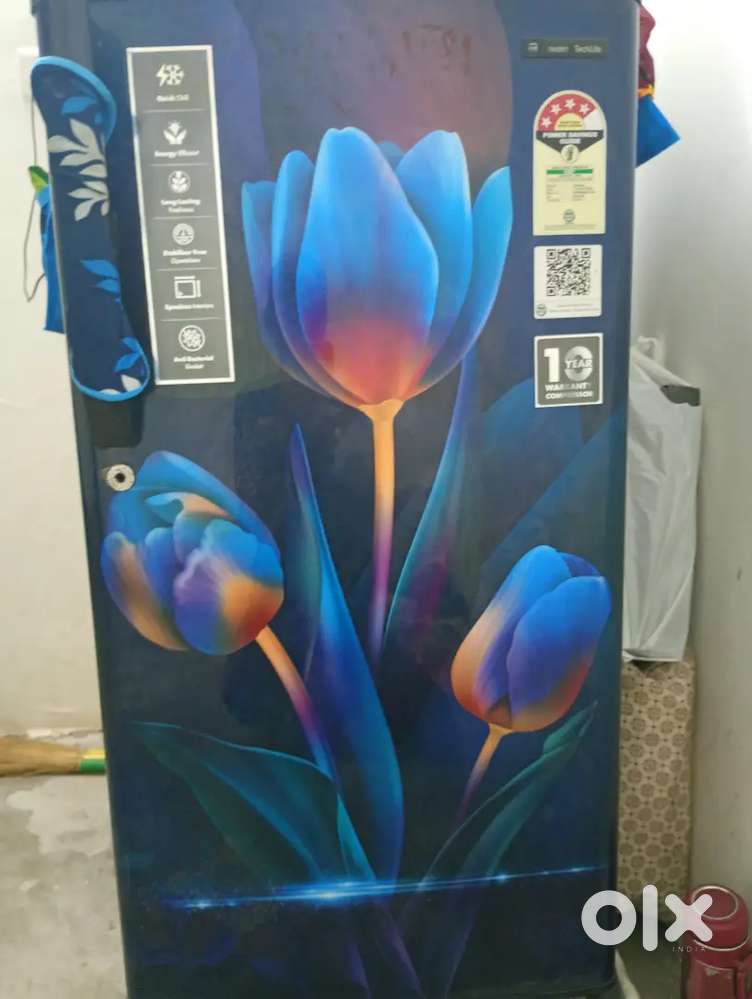 Realme techlife fridge