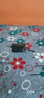Pagaria Bluetooth and fm radio
