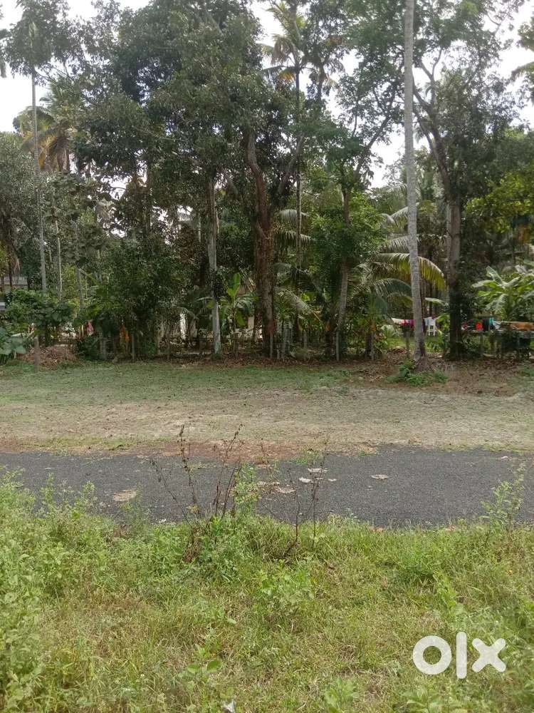 7 cent plot for sale choonadu kayamkulam