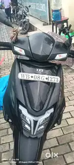 Bast buddy
