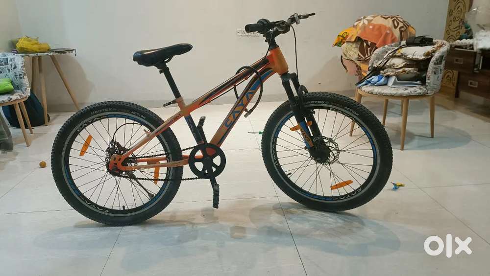 CAYA 24 inch cycle Dual Disc, Double Wall Alloy Rims, Front Shocker