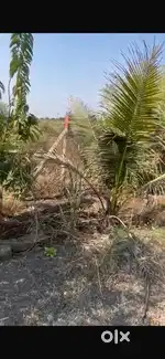 Farm house in siludi near ankleshvar