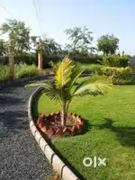 RAIPUR INVESTMENT PLAN,, रायपुर में निवेश का सुनहरा अवसर,,HIGH RETURN