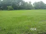 Farmhouse land for sale in umeta , very beautiful location