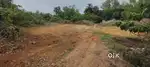 10.52 Cents Land for Sale