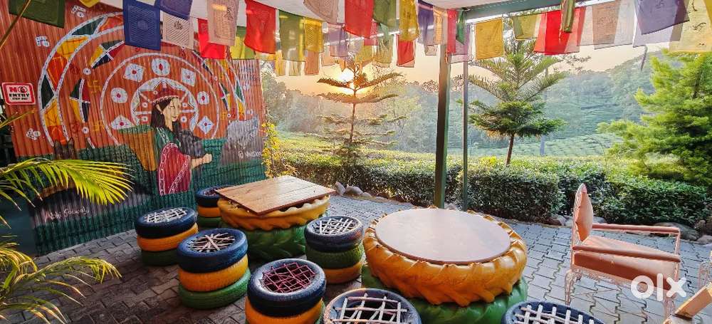 Continental & Asian Cook