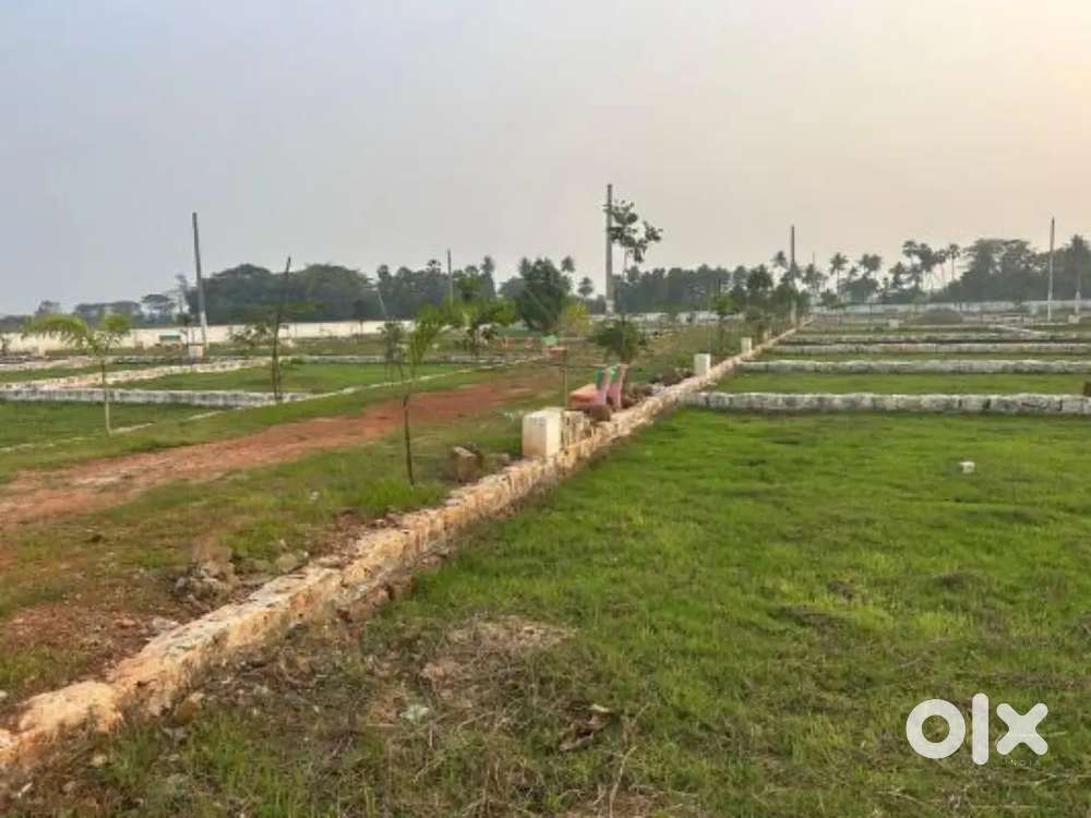Residential plot