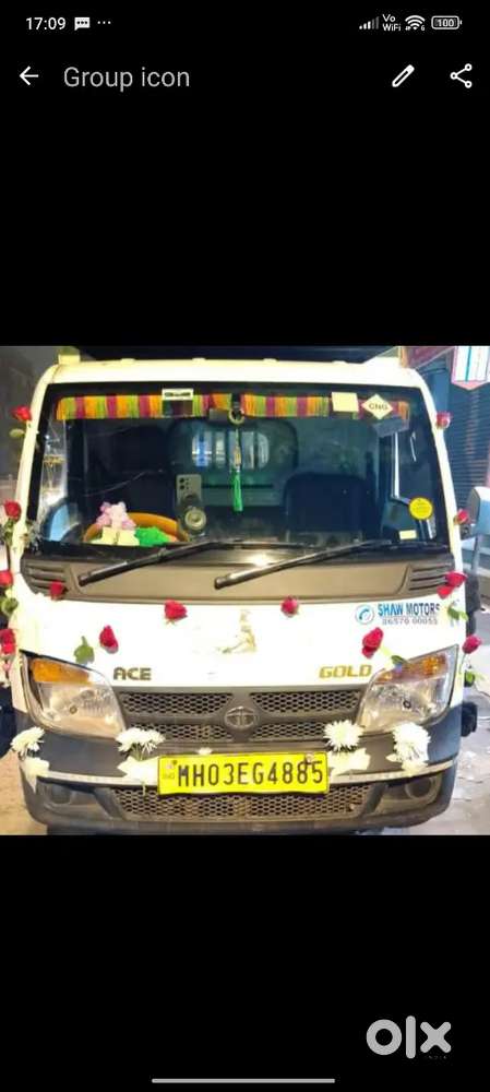 Tata ace gold driver