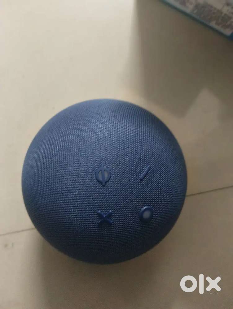 Echo dot alexa