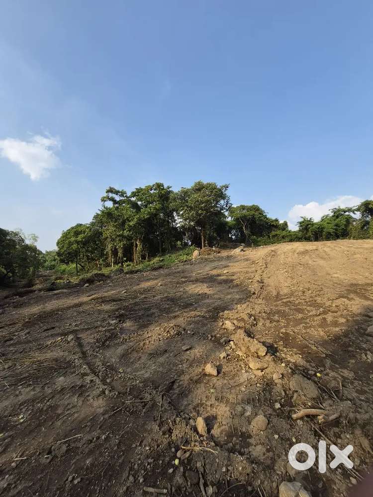 ORCHARD PLOTS FOR SALE IN QUEPEM AMONA
