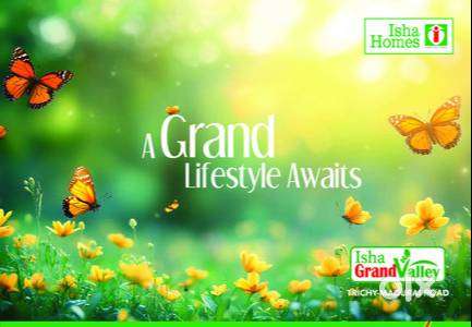 Reception - Front Office