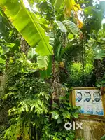7 cents land for sale