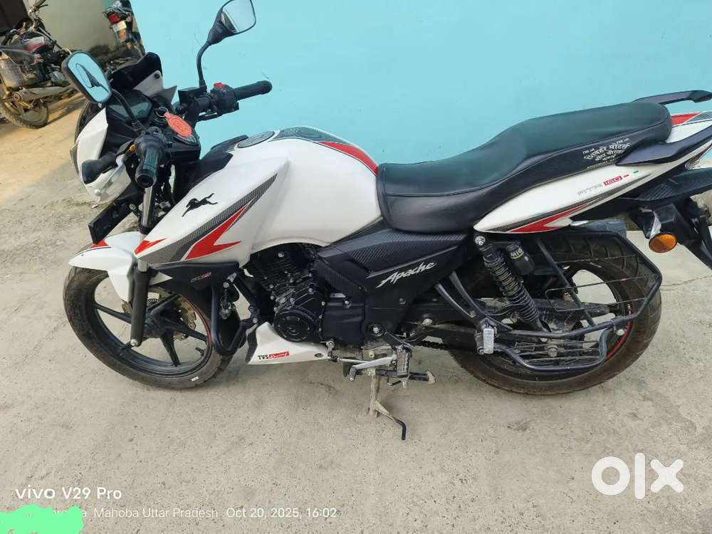 4 month old brand new apache in affordable price