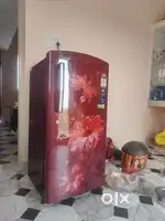 lloyd Fridge 5star 3 months old