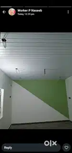 paintUndertakingwork at lowest price fast work putty paint and wood