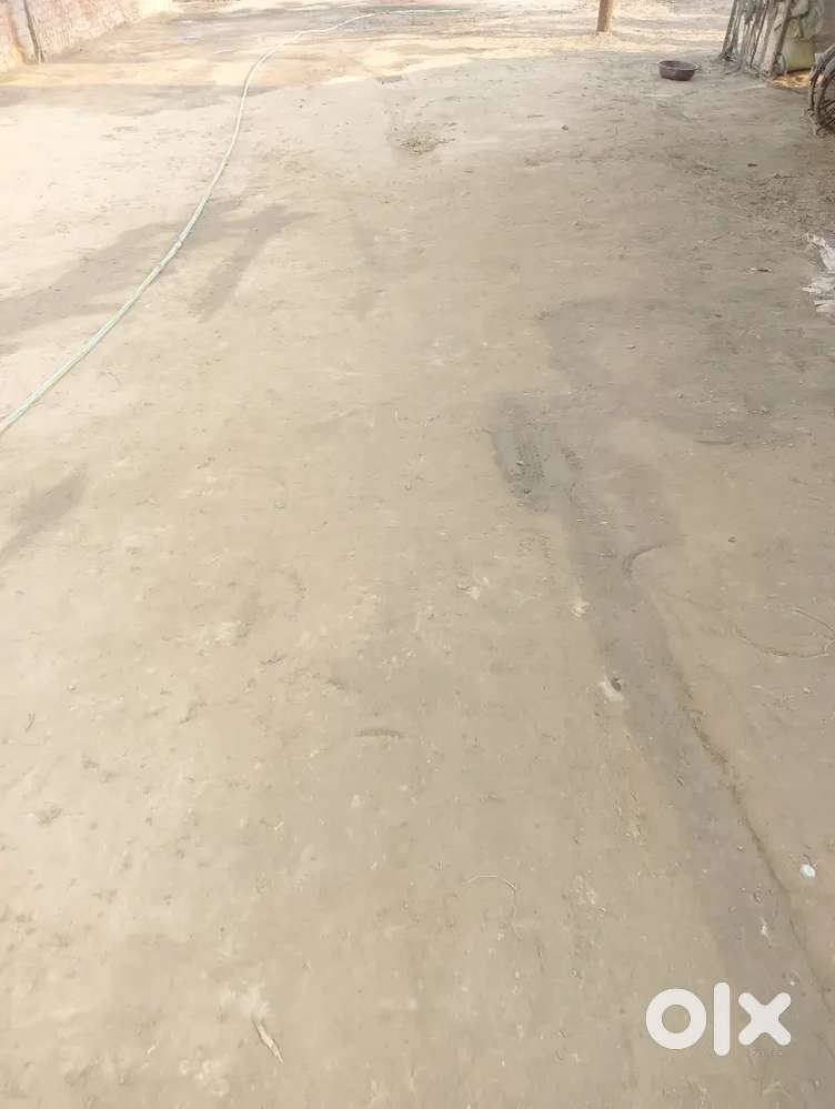 Kailli me  jamin hai 28chaudai aur  60lambai