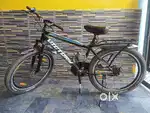 New Cycle All ok