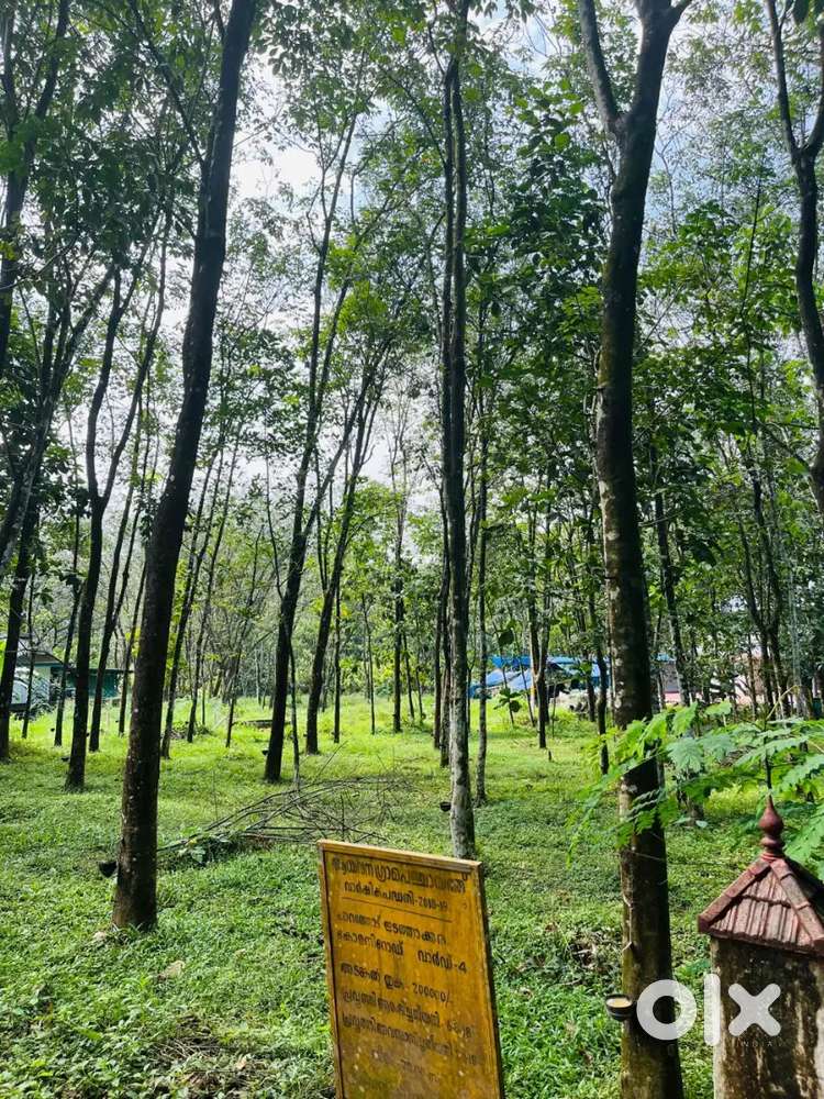 27.5 സെന്റ് സ്ഥലം വിൽപ്പനക്ക്