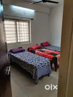 Paying guest in mahadevpura