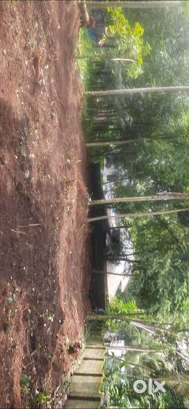 21 cents house plot