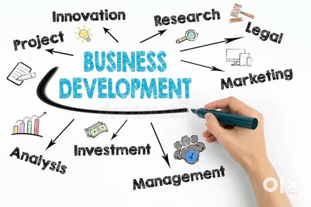 Business Development Executive