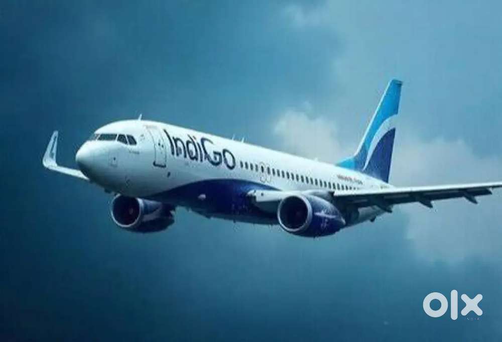 Indigo Airlines jobs /Vacancy for Airport Ground staf / Driver / Crew