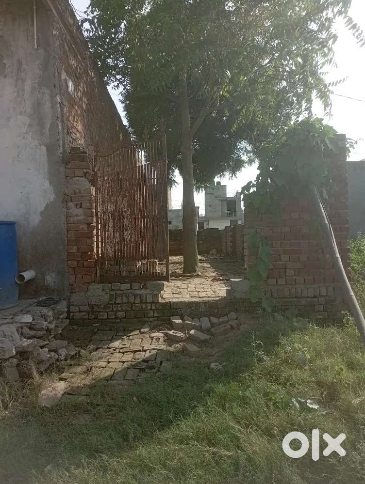 50 gaj plot12.5front 36feet lnth subabash ngr digi wala rsta line par