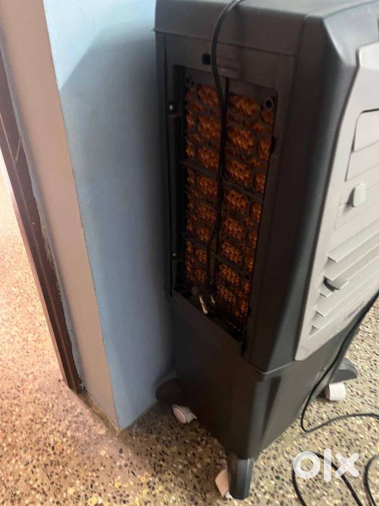 Air Cooler Blue Star