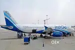 Domestic/International Airport jobs ground staff/ticketing /cabin crew